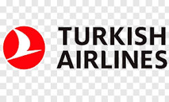 Brescia Multiservizi with International airlines